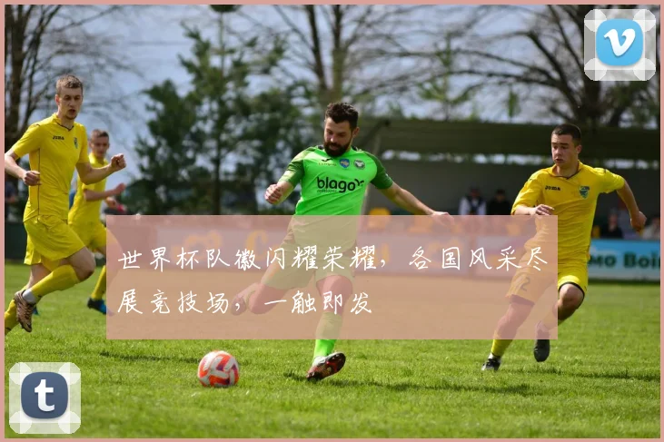 世界杯队徽闪耀荣耀，各国风采尽展竞技场，一触即发