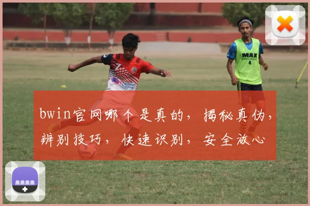 bwin官网哪个是真的，揭秘真伪，辨别技巧，快速识别，安全放心