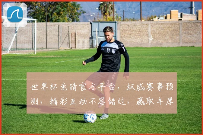 世界杯竞猜官方平台，权威赛事预测，精彩互动不容错过，赢取丰厚奖品