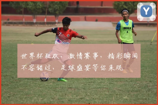 世界杯狂欢，激情赛事，精彩瞬间不容错过，足球盛宴等你来观