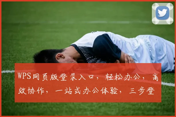 WPS网页版登录入口，轻松办公，高效协作，一站式办公体验，三步登录，便捷无忧，体验非凡
