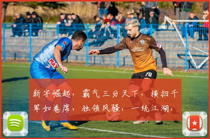 新字崛起，霸气三分天下，横扫千军如卷席，独领风骚，一统江湖，成就传奇传奇