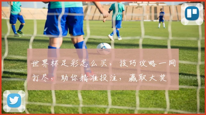 世界杯足彩怎么买，技巧攻略一网打尽，助你精准投注，赢取大奖