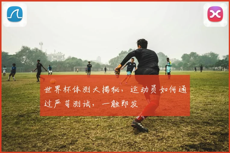 世界杯体测大揭秘，运动员如何通过严苛测试，一触即发